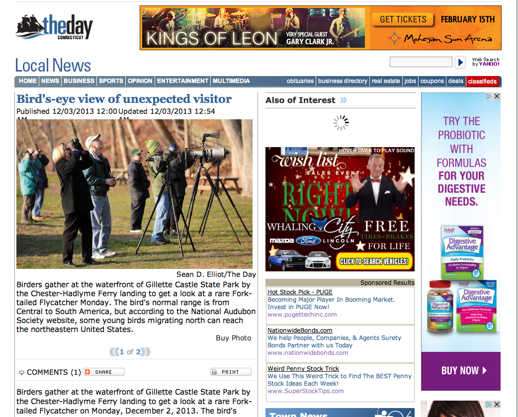 Many Birders & Photographers Townsend P. Dickinson (Green Hat) & Mardi Welch Dickinson, gathered to watching rare Fork-tailed Flycatcher on December 2, 2013. 