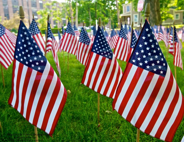 American Flags Honoring Fallen Soldiers. ©Mardi Welch Dickinson/KymryGroup™ All Rights Reserved. http://www.kymrygroup.com