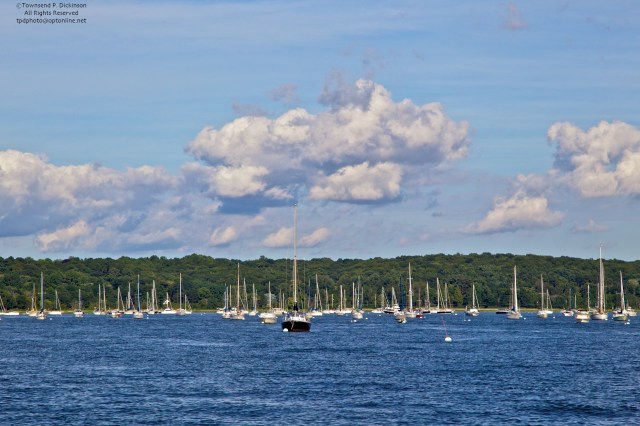 Oyster Bay, Forest of moored sailboats under summer clouds, Oyster Bay, Long Island, NY. ©Townsend P. Dickinson. All Rights Reserved.