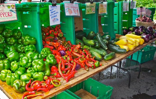 Fort Hill Farm, Westport Farmers Market, ©Mardi Welch Dickinson/Kymry Group™ All Rights Reserved.