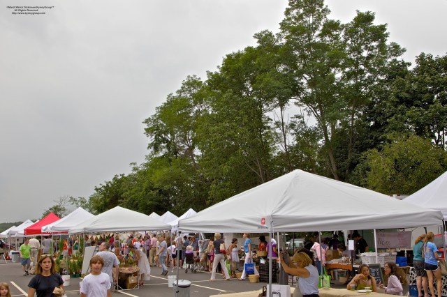 Westport Farmers Market, ©Mardi Welch Dickinson/Kymry Group™ All Rights Reserved.