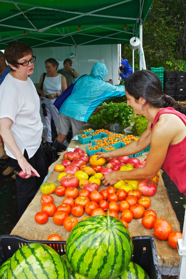 Fort Hill Farm, Westport Farmers Market, ©Mardi Welch Dickinson/Kymry Group™ All Rights Reserved