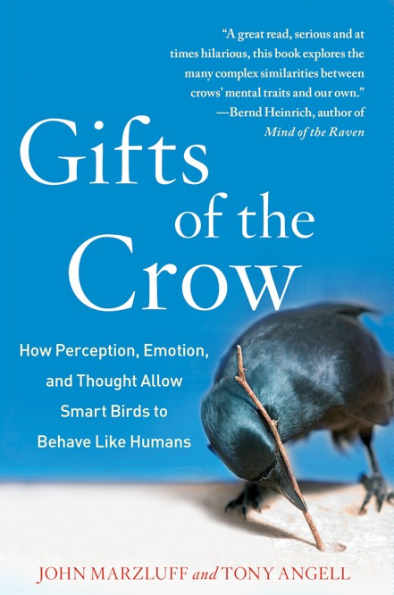Gifts of the Crow book cover.