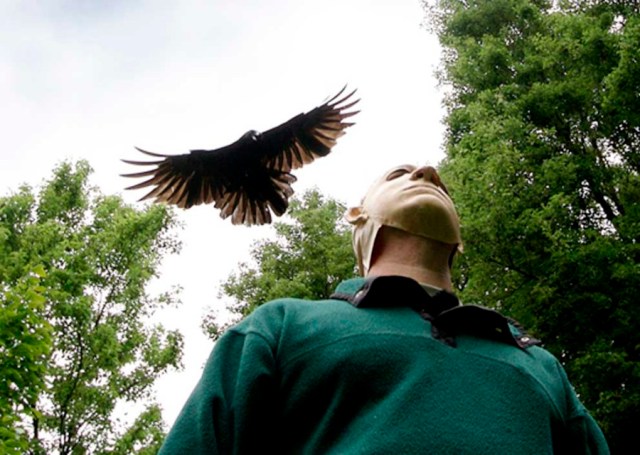 John Marzluff with mask on and crow flying above. All Rights Reserved. Photo used with permission by author.