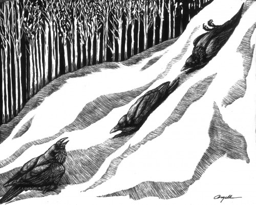 Tony-Angell's Illustration of Crows having fun. ©Tony-Angell. All Rights Reserved.
