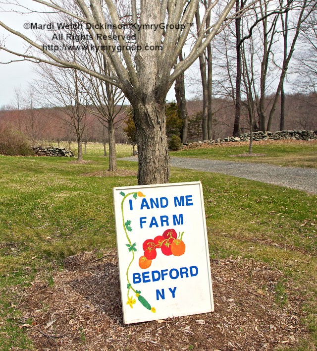 I and Me Farm Sign & Entrance; Mimi Edelman, Farmer/Owner. Chef Farm Tour & Luncheon, Slow Food Metro North April 15, 2013. ©Mardi Welch Dickinson/KymryGroup™. All Rights Reserved.
