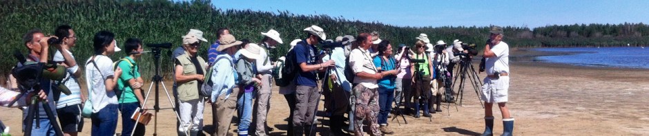 Kevin Karlson teaching Shorebird Identification at the 8th Annual Shorebird Festival. North End, East Pond, Jamaica Bay, NWR, Queens, NY. iPhone 4 ©Mardi Welch Dickinson / KymryGroup. All Rights Reserved.