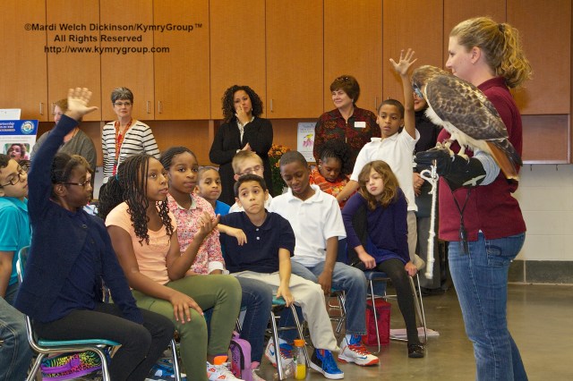 Students, 5th graders from Barnard Environmental Studies Magnet school, learn about the importance of birds and wildlife in the their community. Live Birds presented by Erin O'Connell, Sharon Audubon. Commissioner in your Corner, Celebrating New Haven Parks; Urban Oases for Birds and Wildlife. Barnard Nature Center, West River Memorial Park, New Haven, CT. ©Mardi Welch Dickinson/KymryGroup™ All Rights Reserved.