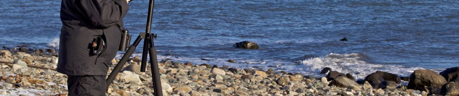 Mardi Dickinson scoping for winter birds. Cove Place area beach, Stratford, CT. ©Townsend P. Dickinson. All Rights Reserved.