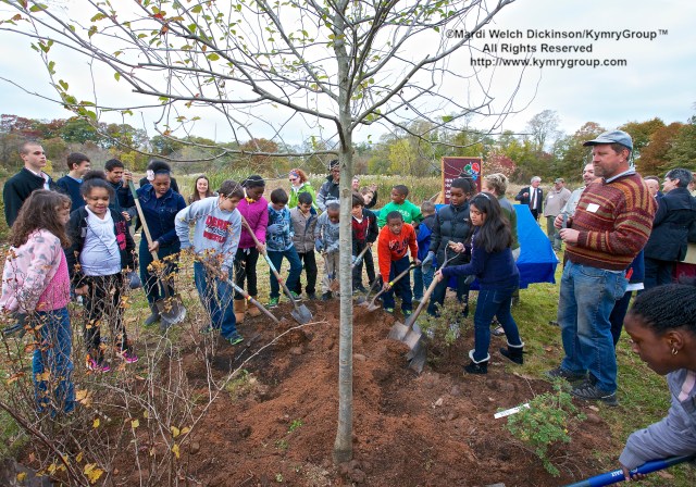 Students from Barnard Environmental Studies Magnet School performed a tree planting  at the Audubon Connecticut  Urban Oases program celebration. Barnard Nature Center, West River Memorial Park, New Haven, CT. October 30. 2013. ©Mardi Welch Dickinson/  KymryGroup. All Rights Reserved. 