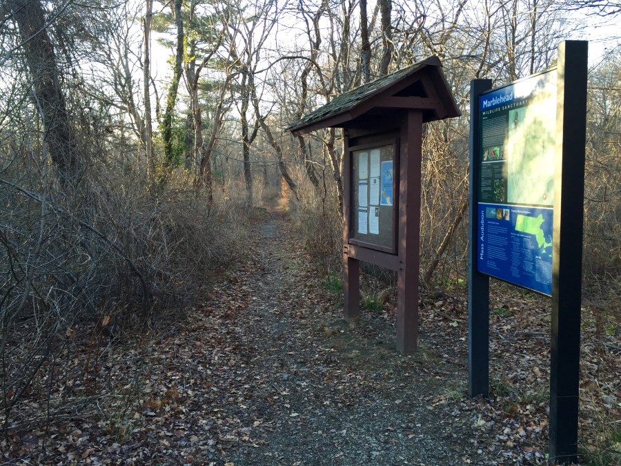 Massachusetts Audubon Society, Marblehead Neck Wildlife Sanctuary. December 26,2014. ©Mardi Welch Dickinson /Kymry Group. All Rights Reserved.