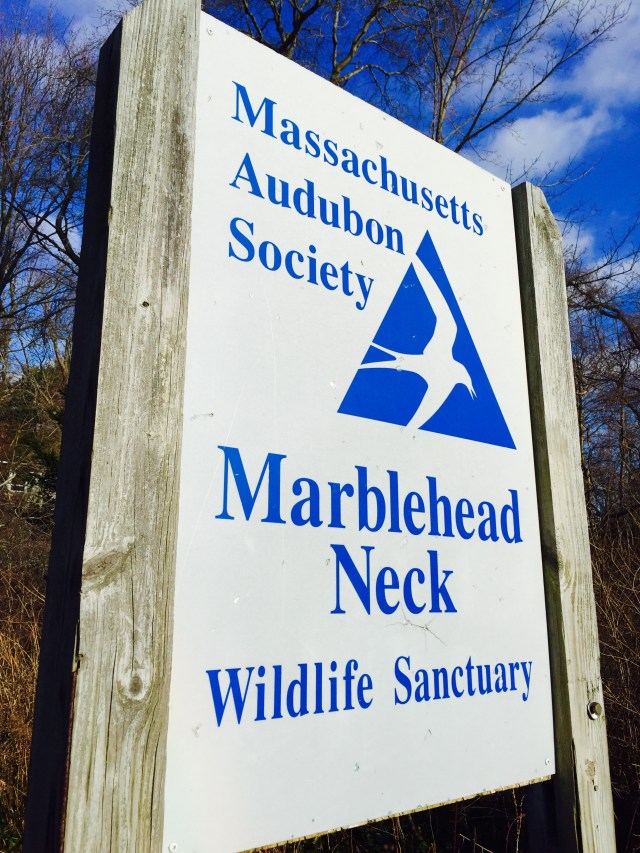 Massachusetts Audubon Society, Marblehead Neck Wildlife Sanctuary sign. December 26,2014. ©Mardi Welch Dickinson All Rights Reserved.