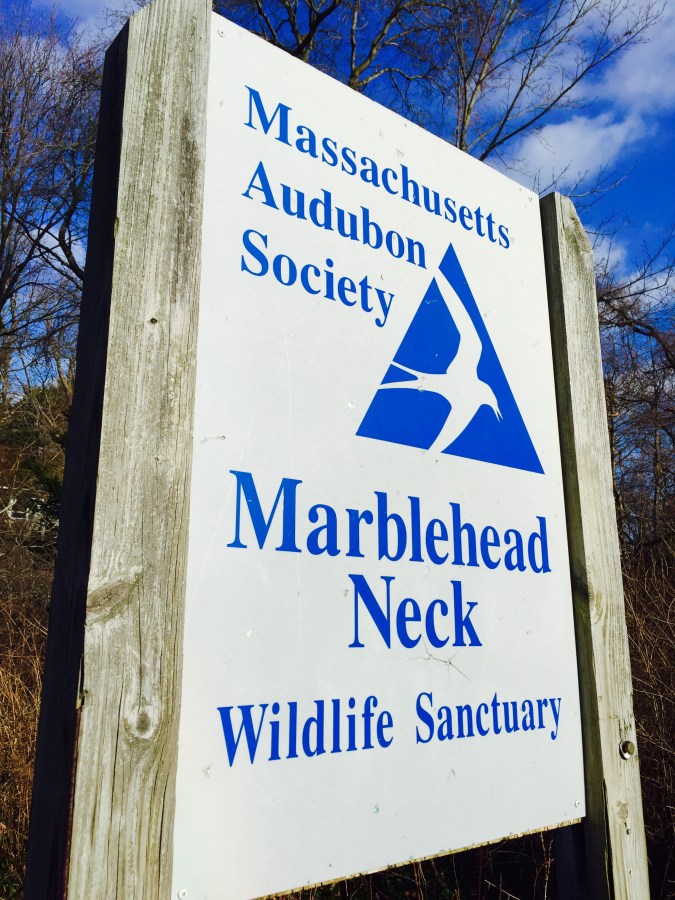 Massachusetts Audubon Society, Marblehead Neck Wildlife Sanctuary sign. December 26,2014. ©Mardi Welch Dickinson All Rights Reserved.