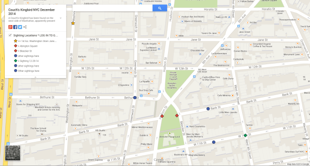 Couch's Kingbird map of location in NYC