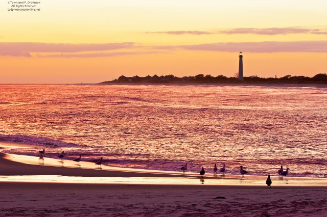 Cape May Lighthouse, fall with gulls in surf after sunset, from Beach Avenue, Cape May, NJ ©Townsend P. Dickinson. All Rights Reserved.