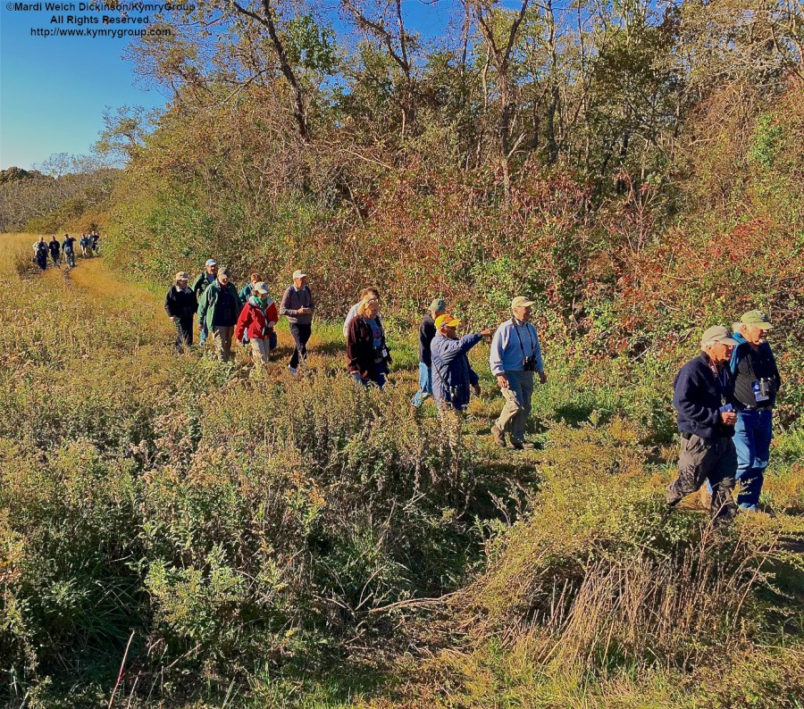 Cape May Fall Birding Festival had dozens of walks with expert leaders ongoing in Field #1 at the Higbee Beach Wildlife Management Area, West Cape May, NJ.